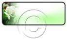 Presentationpro.com Powerpoint Products and Services