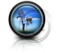 Presentationpro.com Powerpoint Products and Services