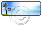 Presentationpro.com Powerpoint Products and Services