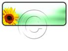 Presentationpro.com Powerpoint Products and Services