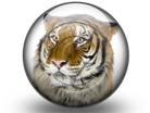 Presentationpro.com Powerpoint Products and Services