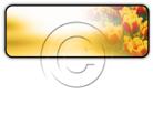 Presentationpro.com Powerpoint Products and Services