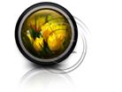 Presentationpro.com Powerpoint Products and Services