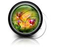 Presentationpro.com Powerpoint Products and Services