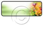 Presentationpro.com Powerpoint Products and Services