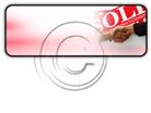 Presentationpro.com Powerpoint Products and Services