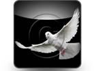 Presentationpro.com Powerpoint Products and Services