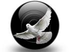 Presentationpro.com Powerpoint Products and Services