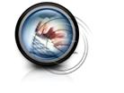 Presentationpro.com Powerpoint Products and Services