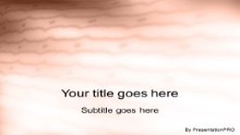 Presentationpro.com Powerpoint Products and Services