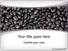 Presentationpro.com Powerpoint Products and Services