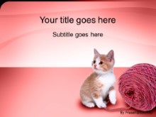 Presentationpro.com Powerpoint Products and Services