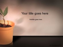 Presentationpro.com Powerpoint Products and Services