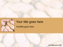 Presentationpro.com Powerpoint Products and Services