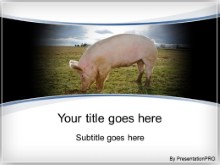 Presentationpro.com Powerpoint Products and Services