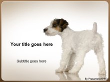 Presentationpro.com Powerpoint Products and Services