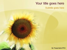 Presentationpro.com Powerpoint Products and Services