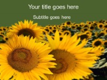 Presentationpro.com Powerpoint Products and Services