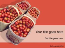 Presentationpro.com Powerpoint Products and Services