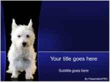 Presentationpro.com Powerpoint Products and Services
