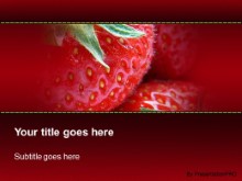 Presentationpro.com Powerpoint Products and Services