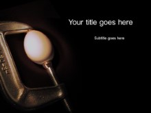 Presentationpro.com Powerpoint Products and Services