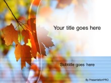 Presentationpro.com Powerpoint Products and Services
