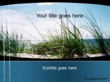 Presentationpro.com Powerpoint Products and Services