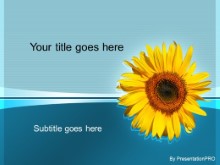 Presentationpro.com Powerpoint Products and Services