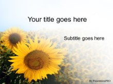Presentationpro.com Powerpoint Products and Services
