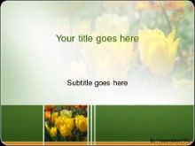 Presentationpro.com Powerpoint Products and Services