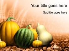 Presentationpro.com Powerpoint Products and Services