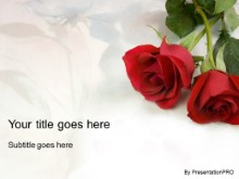 Presentationpro.com Powerpoint Products and Services