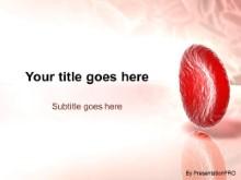 Presentationpro.com Powerpoint Products and Services