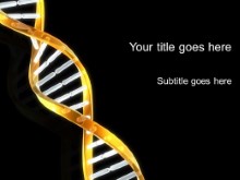 Presentationpro.com Powerpoint Products and Services