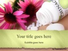 Presentationpro.com Powerpoint Products and Services