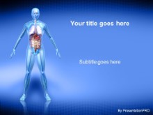 Presentationpro.com Powerpoint Products and Services