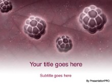 Presentationpro.com Powerpoint Products and Services