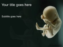 Presentationpro.com Powerpoint Products and Services