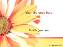 Presentationpro.com Powerpoint Products and Services