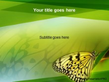 Presentationpro.com Powerpoint Products and Services