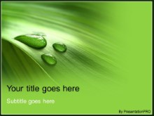 Presentationpro.com Powerpoint Products and Services