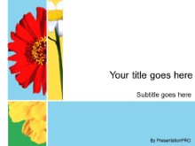 Presentationpro.com Powerpoint Products and Services