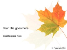 Presentationpro.com Powerpoint Products and Services