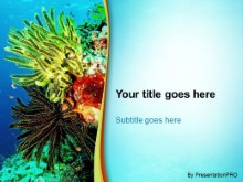 Presentationpro.com Powerpoint Products and Services