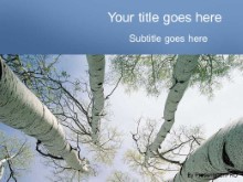 Presentationpro.com Powerpoint Products and Services