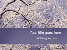 Presentationpro.com Powerpoint Products and Services