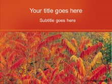 Presentationpro.com Powerpoint Products and Services
