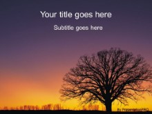 Presentationpro.com Powerpoint Products and Services