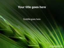 Presentationpro.com Powerpoint Products and Services
